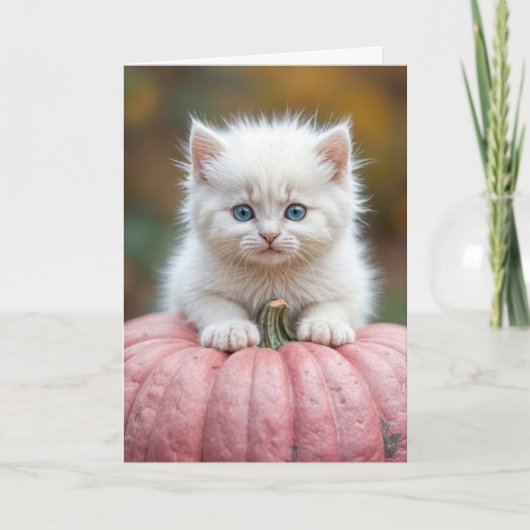 Verjaardag White Kitten op roze pompoen Kaart (Voorkant)