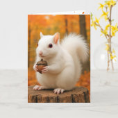 Verjaardag Witte eekhoorn met een eikel Kaart (Gele Bloem)