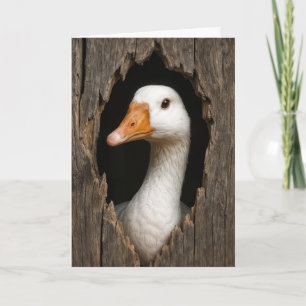 Verjaardag Witte Gans Peking Uit Hole Kaart