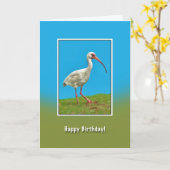 Verjaardag, Witte Ibis Bird Kaart (Gele Bloem)