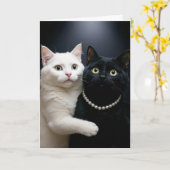 Verjaardag Witte Kat Knuffelen Een Zwarte Kat Kaart (Gele Bloem)