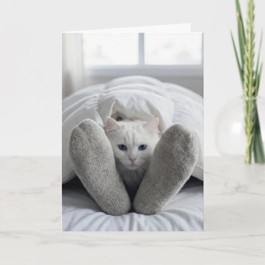 Verjaardag Witte Kat Onder Een Dekbed Kaart (Voorkant)