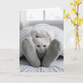 Verjaardag Witte Kat Onder Een Dekbed Kaart (Gele Bloem)