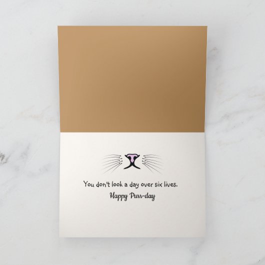 Verjaardag Witte kat Zittend In Warme Lamp Kaart (Binnen)