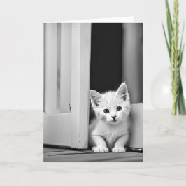 Verjaardag witte kitten in deuropening kaart