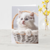 Verjaardag witte kitten in een mand kaart (Gele Bloem)