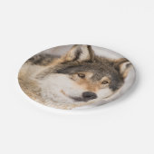 Verjaardag wolf schattige jongen papieren bordje (Gekanteld)