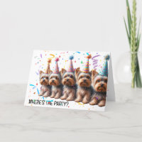 Verjaardag Yorkshire Terriers in Party Petten