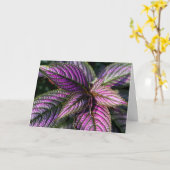 Verjaardag zegening fotokaart kaart (Gele Bloem)