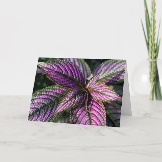 Verjaardag zegening fotokaart kaart (Voorkant)