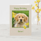 Verjaardag, zus, Golden Retriever Dog, narcissen Kaart (Gele Bloem)