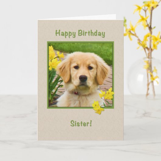 Verjaardag, zus, Golden Retriever Dog, narcissen Kaart (Gele Bloem)