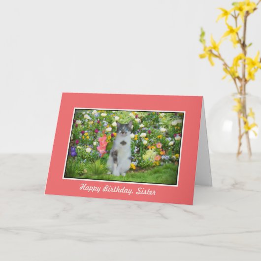 Verjaardag, zus, kat tussen de bloemen kaart (Gele Bloem)