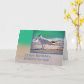 Verjaardag, zwager, Koninklijke stern vogel Kaart (Gele Bloem)