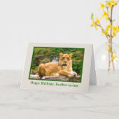 Verjaardag, zwager, leeuw op een rots kaart (Gele Bloem)