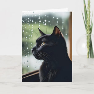 Verjaardag Zwarte Kat In Regenachtig Raam Kaart