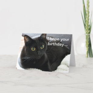 Verjaardag zwarte kat kaart