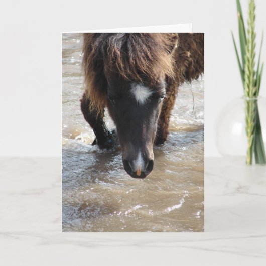 Verjaardag Zwemmend Paard Kaart (Voorkant)