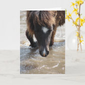 Verjaardag Zwemmend Paard Kaart (Gele Bloem)