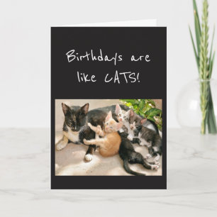 Verjaardagen zijn als Katten Dieren Humor Kaart