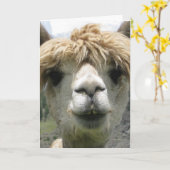 VERJAARDAGKAART MET ALPACA EN GRAPPIGE TEKST KAART (Gele Bloem)