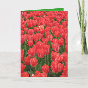 Verjaardagkaart met tulpen kaart