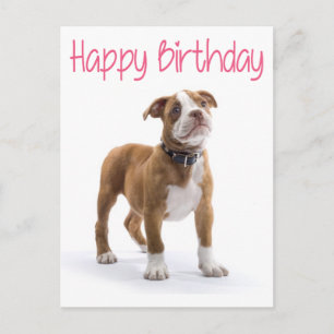 Verjaardags Boxer Puppie Hond Postcard Briefkaart
