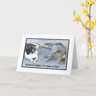 VERJAARDAGS CONTENTMENT/TWEE SLAPENDE KATTEN/ HUMO KAART