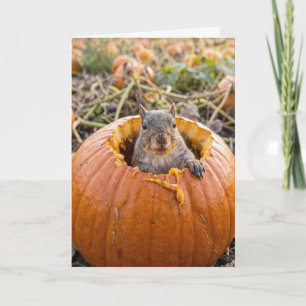 Verjaardags eekhoorn in een herfstpompoen kaart