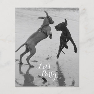 Verjaardags Honden Flyer