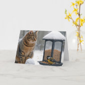 Verjaardags Kat Kijkt naar een Vogel op een Voeder Kaart (Gele Bloem)