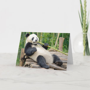 Verjaardags panda beer die op een bamboestengel ka kaart