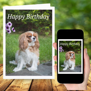 Verjaardagsbloemen Cavalier King Spaniel Kaart