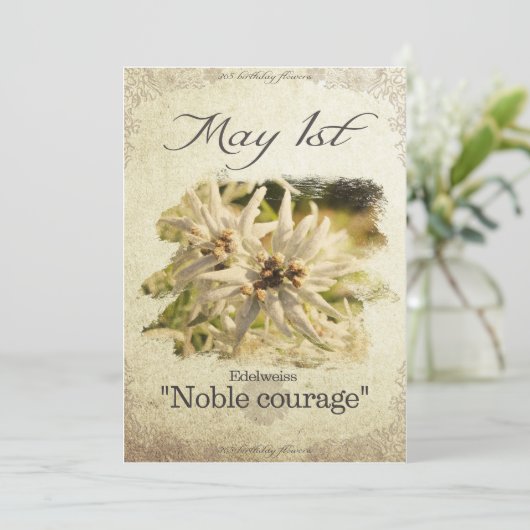 Verjaardagsbloemen op 1 mei "Edelweiss" Kaart (Staand voorkant)