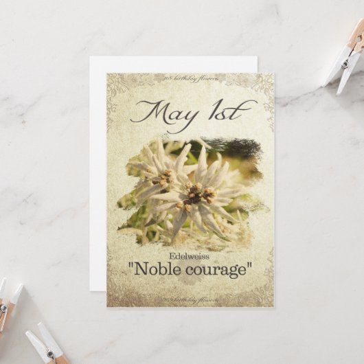 Verjaardagsbloemen op 1 mei "Edelweiss" Kaart (Voorkant / Achterkant in situ)