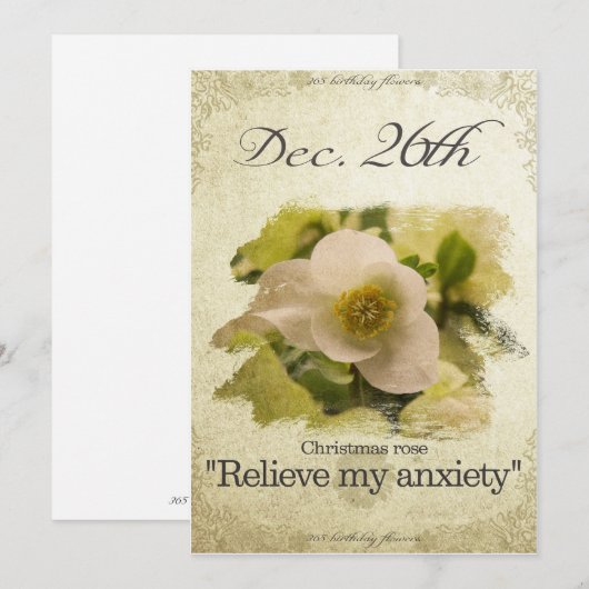 Verjaardagsbloemen op 26 december "Christmas roos" Feestdagenkaart (Voorkant / Achterkant)