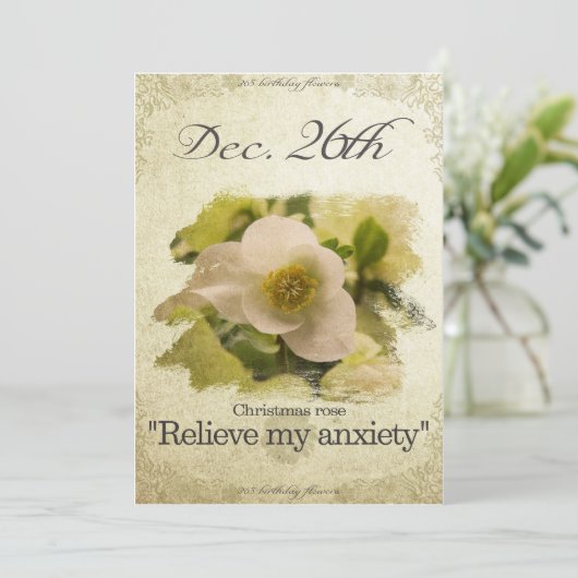 Verjaardagsbloemen op 26 december "Christmas roos" Feestdagenkaart (Staand voorkant)