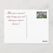 Verjaardagsboeket: roze en gele anjers briefkaart (Achterkant)