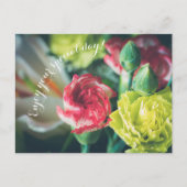 Verjaardagsboeket: roze en gele anjers briefkaart (Voorkant)