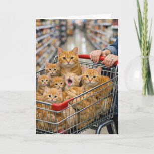 Verjaardagsboodschappenwagen gevuld met oranje kat kaart