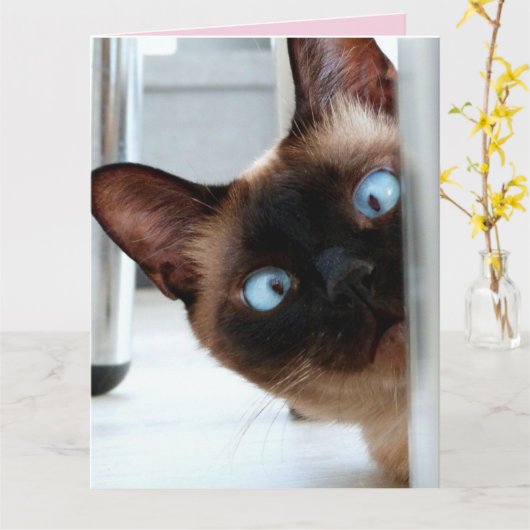 VERJAARDAGSCADEAU KAART MET KATTENGEZICHT (Gele Bloem)