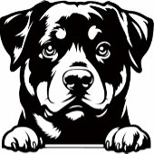 Verjaardagscadeau voor Rottweiler Golfballen