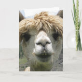 VERJAARDAGSCARD MET ALPACA EN HUMOR KAART (Voorkant)