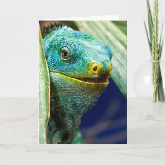 VERJAARDAGSCARD MET IGUANA GRAP KAART (Voorkant)