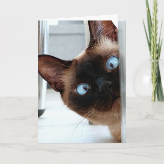 VERJAARDAGSCARD MET ZOEDE SIASESE KAT KAART (Voorkant)