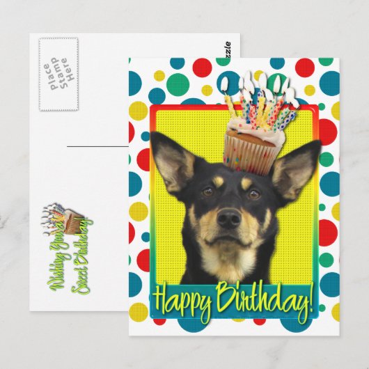 Verjaardagscupcake - Australische Kelpie - Jude Briefkaart (Voorkant / Achterkant)