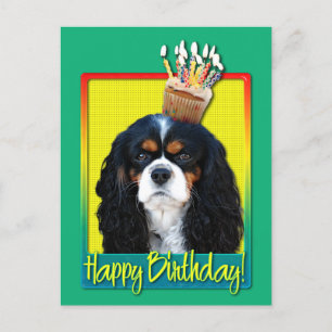 Verjaardagscupcake - Cavalier - Tri-Color Briefkaart
