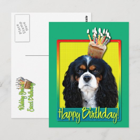 Verjaardagscupcake - Cavalier - Tri-Color Briefkaart (Voorkant / Achterkant)