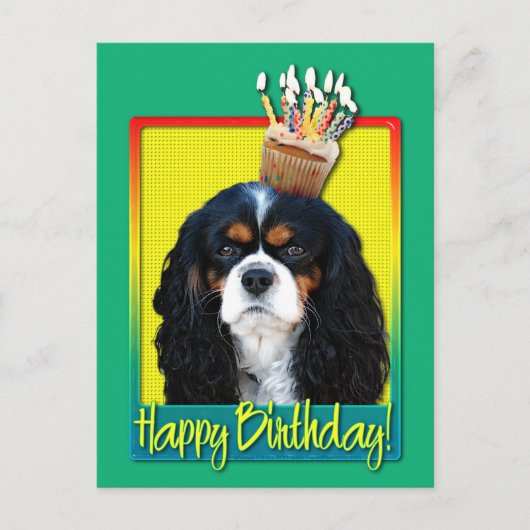 Verjaardagscupcake - Cavalier - Tri-Color Briefkaart (Voorkant)