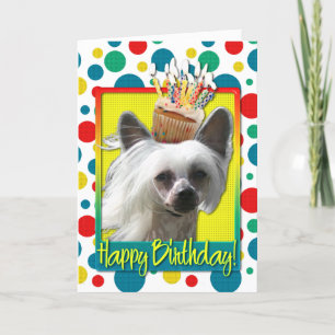 Verjaardagscupcake - Chinese Crested - Kahlo Kaart